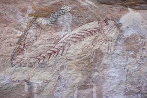 röntgen tuzlu su balığı by Unbekannt Unbekannt